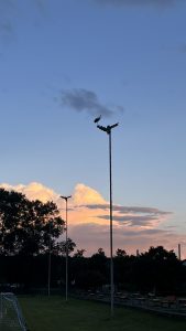 Die Vorbereitungen zum Eastsite-Cup 2025 liefen bis in den Abend rein.